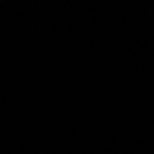 Meet your Posher, Rosa